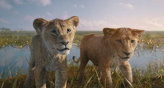 狮子王：木法沙传奇 Mufasa: The Lion King2024剧照2