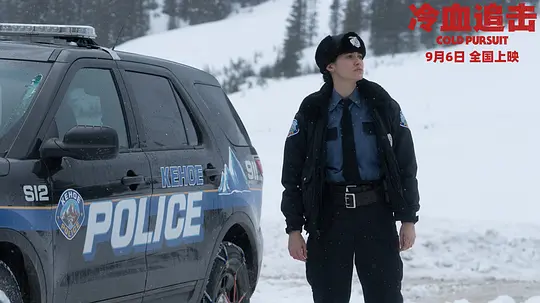 冷血追击 Cold Pursuit2019剧照2