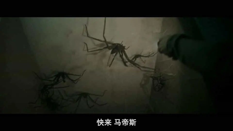 害虫2023剧照1