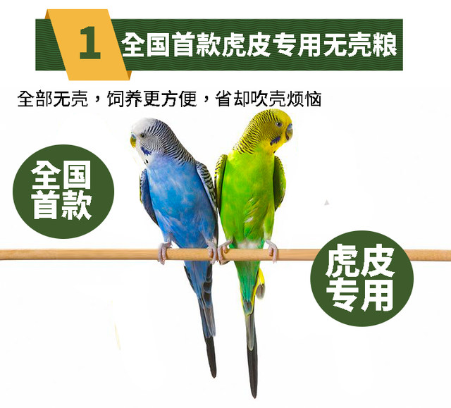 Parrot sky budgie food bird food shellless food bird food parrot bird food feed feeding pills egg yolk powder