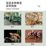 掕洐 掕洐 涔 涔    濇 濇 绠 绠 绠 畧瀹 泧瀹  箒娈 栭 鍏 洅 镆 镆 粍瑁 呮娊 夋 Pvc 鐖 Тепло