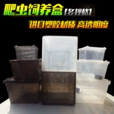Zicra Turtle Turtle Horn лягушка поднимает ящик для размножения ящерицы Dubia -Spider -Guard Lizard Lizard Scorpion