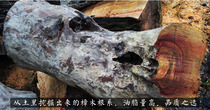 Directly sawn from natural camphor tree root logs