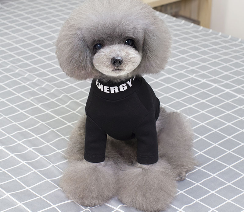 Quần áo chó, cổ cao, áo chạm đáy, thú cưng, Teddy, gấu, mùa thu, VIP, chó nhỏ, chó con - Quần áo & phụ kiện thú cưng áo cho chó giá rẻ