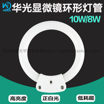 Huaguang stereo microscope two-pin 10W 8W fluorescent ring lamp light source two-pin white light 6400K