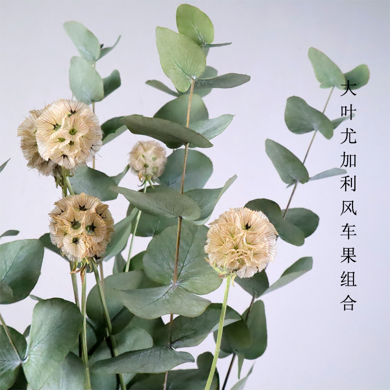 Yughali Leaf Windmill Fruit High - level Natural Real Flower Bouquet Light Luxury Living Room with Vase