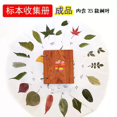Specimen Collection Collection book natural plant dry flower storage children identification leaves kindergarten student homework