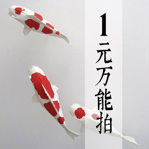 1 yuan to take the postage payment to make up the difference Shunfeng freight please don't shoot thank you