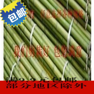 Coarse Bamboo Rod Large Hairy Bamboo Rod Vegetable Garden Hitchhiking Slim Bamboo Pole Patio Decorated Fence Bamboo Fence Upholstery Bamboo Pole