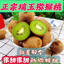 Ruiyu Kiwi Qinling Ridge North Prawills Pure Sweet Hard And Can Также Eat And Put And Put Soft Fresh Фруктовые