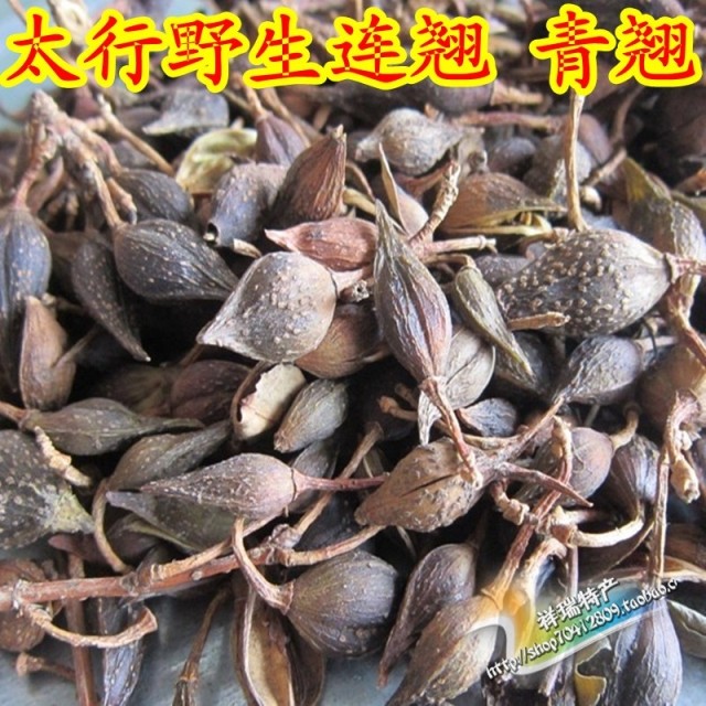 Forsythia green Qiao Wild herbs in the mountains without pollution artificial selection 500 grams