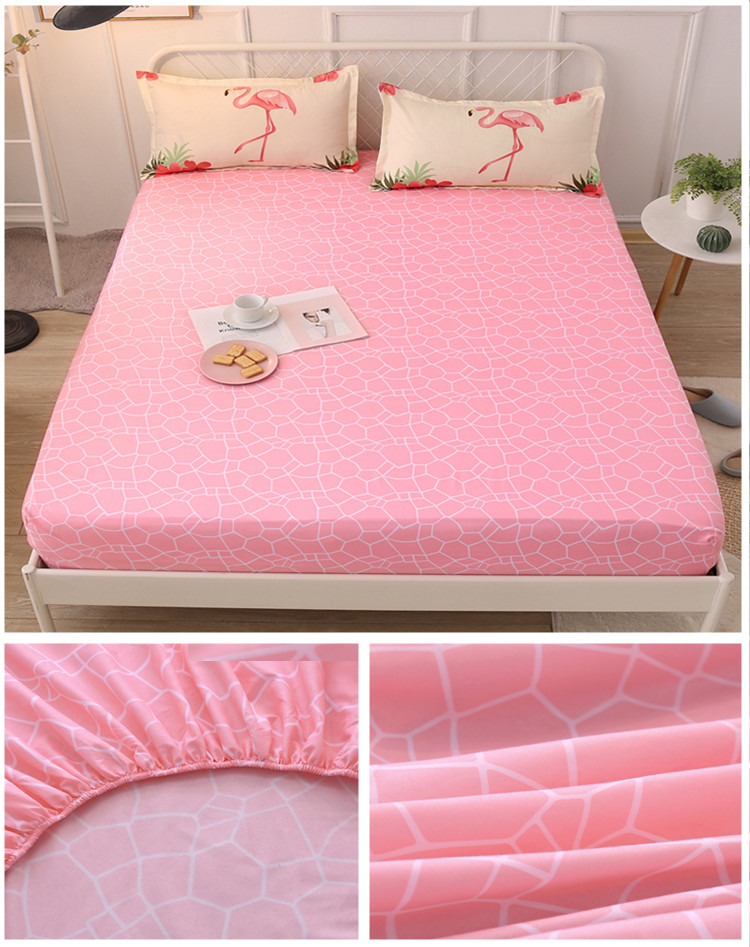 Giường tỷ tỷ Đĩa đơn Simmons trải giường bảo vệ nệm phủ nệm bụi 1.8m1.5m Mẫu ga phủ giường