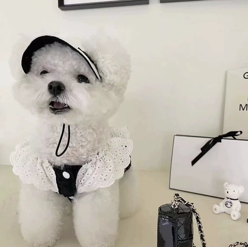 Чистая красная тыквенная одежда для собак лето маленькие щенки плюшевые