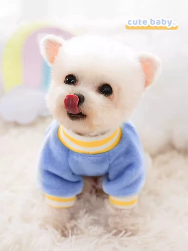 Милый бархатный пуховик, коллекция 2023