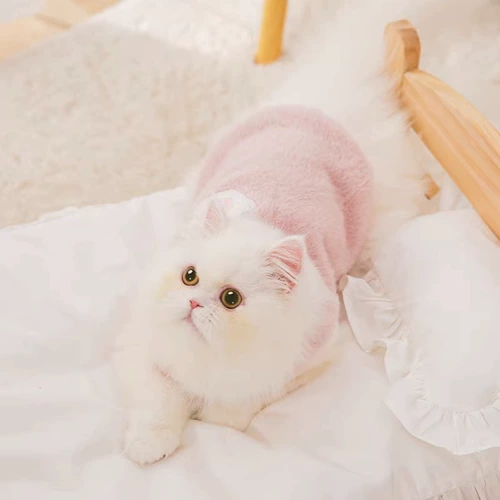 Одежда котенок Осенняя одежда тепло