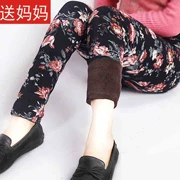 Mùa thu và mùa đông eo cao cộng với quần legging nhung dày cho người trung niên size lớn với quần hoa trung niên quần ấm