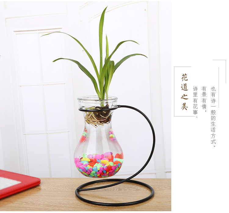 Sáng tạo treo lục bình bình thủy khung hoa rèn sắt xanh nước cây thủy tinh container trang trí trang trí - Vase / Bồn hoa & Kệ chậu hoa treo tường