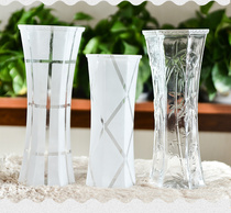 Full glass transparent vase fashion simple modern household goods rich bamboo hydroponic vase hexagonal