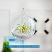 15 см. Шар+белый камень+зеленое растение