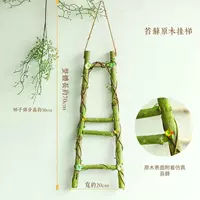 Мох висящая лестница