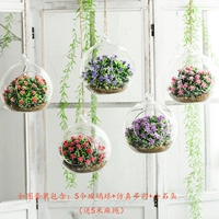 Комплект, 15см, 5 шт