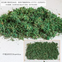 Натуральный вяленый рыхлый мох 200г.