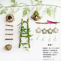 Как показано на рисунке пять