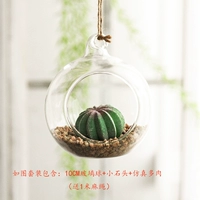 Серый сингл 10 см шариков l