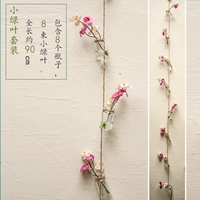 Розовый ветер развел цветочный набор бутылок бутылки