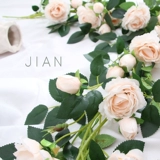 Симуляция розовая виноградная лоза.