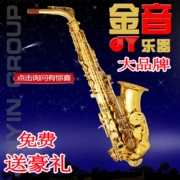 Thả E trong tiếng nhạc cụ của Sasaks Jinyin 2000g Nhạc saxophone cho người mới bắt đầu chơi kèn saxophone - Nhạc cụ phương Tây