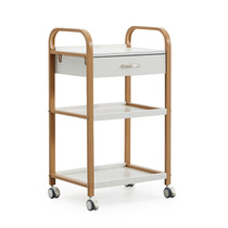 Trolley beauty salon special mobile storage multi-function instrument shelf Nail tattoo embroidery barber shop tool cart