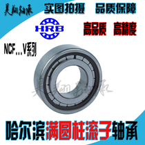 Full complement cylindrical roller bearing NCF202 203 204 205 206 207v 2RS double-sided lid seal