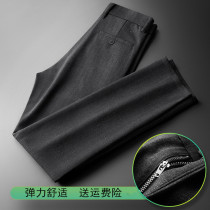 Autumn new high-grade trousers mens business dress elastic non-iron stripes straight tube casual small foot trousers trend