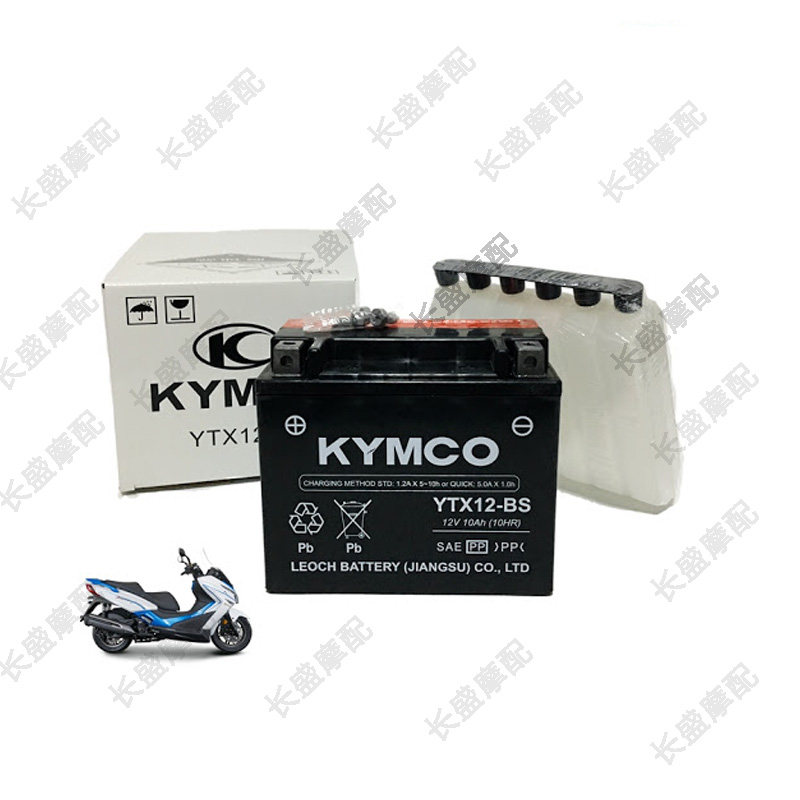 Light Yang Original Factory Rowing 300 CT250 CT300 S400 S350 People Battery YTX12-4 Battery