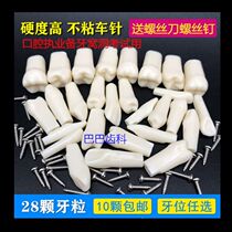 Dentist exam tooth preparation practice tooth dental resin simulation tooth particle resin loose teeth oral in vitro tooth preparation
