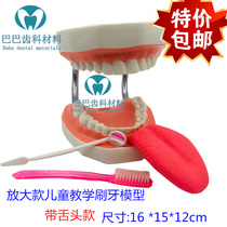 Dental 6 Six Times Magnifying Brushing Model with Tongue Tooth Model Kindergarten Children Teaching Brushing Oral