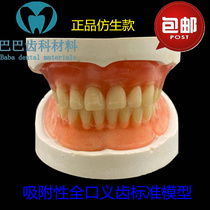 Dental Complete Denture Model Adsorption Denture Standard Red Wax Tablet Jaw Frame Synthetic Resin Dental Teeth Model