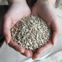 Li family meal raw sunflower seed kernel 500 grams farmhouse to Shell melon seed seed kernel original nut snacks no new goods added