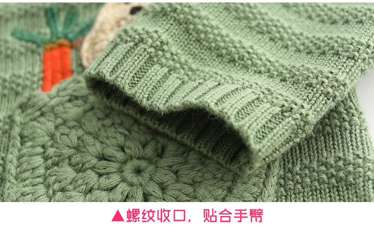 Pull fille LANDWINTERY à manche longue - Ref 2105541 Image 21