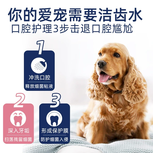 Coninet Исследование ароматная домашняя собака и кошка общая мусульманская очистка воды чистая зубная вода, чтобы удалить неплохой профилактику дыхания, чтобы предотвратить стоматологические камни