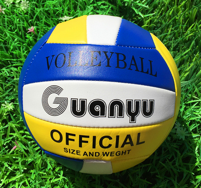 Ballon de volley - Ref 2009824 Image 8