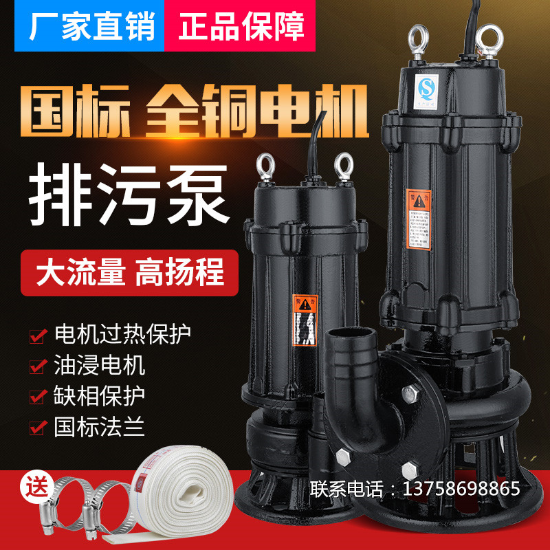 Special Price Domestic Sewage Pump Submersible Pump Engineering Special Sewerage Pump Septic Tank Mud Pump Marsh Liquid Pump 220V-Taobao