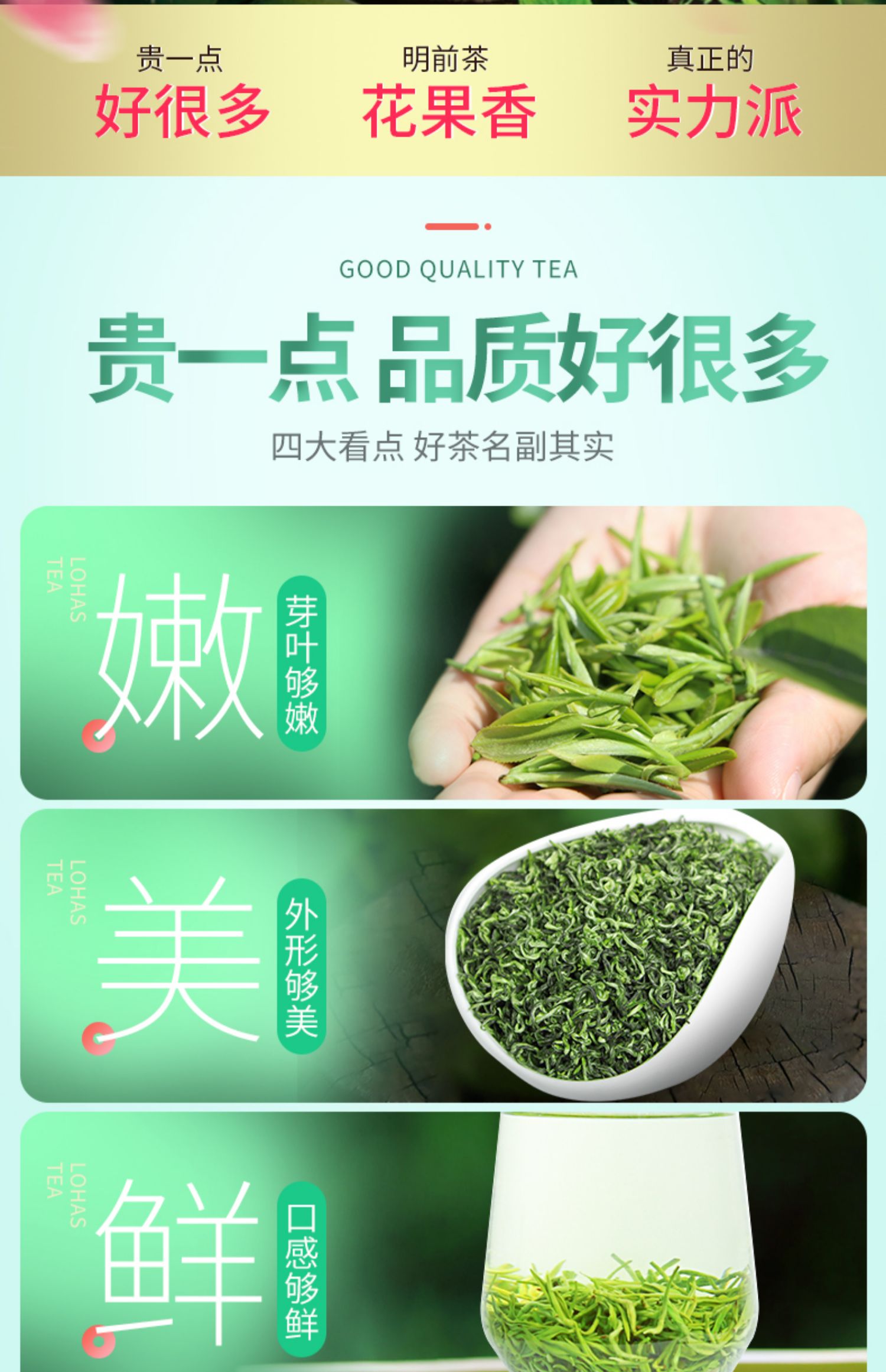 【金果】碧螺春绿茶嫩芽浓香型春茶250g