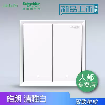 Schneider Haolang two-open two-open dual two-position light switch socket panel household dual-switch single-control switch