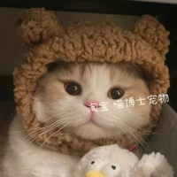 Шапка, с медвежатами