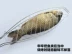 Clip cá nướng thương mại Lớn bằng thép không gỉ nướng cá clip nướng cá nướng Bếp cá nướng Trùng Khánh clip cá nướng - Bếp lò / bộ đồ ăn / đồ nướng dã ngoại bếp ga mini rinnai Bếp lò / bộ đồ ăn / đồ nướng dã ngoại