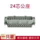 24 Core [Public Core]