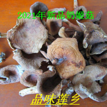Jianning mixed mushroom Red milk pulp mushroom Milk Ji mushroom Milk mushroom Pear mushroom Milk pulp mushroom Wild edible mushroom dry goods 500 grams