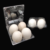  Factory supply 4 goose egg packaging boxes plastic transparent blister goose egg tray 2 new materials thickening and anti-pressure 100